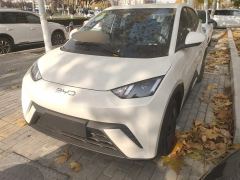 BYD Seagull 305km Free Version - photo 1
