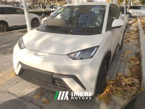 2025 BYD Seagull 305km Free Version - ავტომობილი ჩინეთიდან