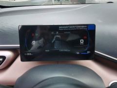 BYD Seagull Glory Edition 305km Freedom Version - ფოტო 14