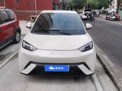 BYD Seagull Glory Edition 305km Freedom Version - ფოტო 2