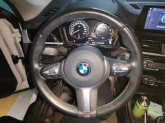 BMW X1 sDrive25Li Premier - photo 18