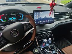 BYD Tang DM-i 1.5T 112KM Precursor Premium - ფოტო 16