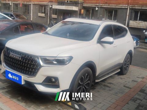 2023 Haval H6 Guochao Edition 1.5T 2WD Urban Edition - ავტომობილი ჩინეთიდან