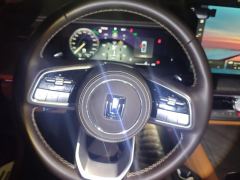 Tank 500 Business Edition 3.0T Version 5 - ფოტო 18
