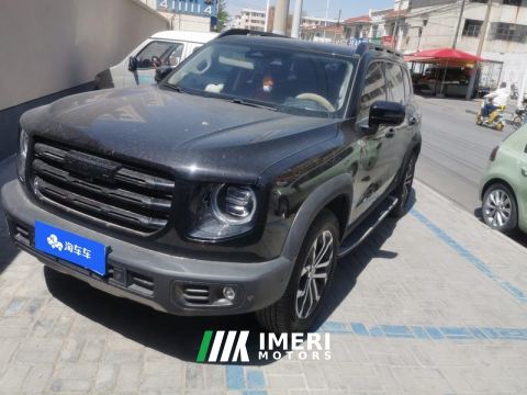 2021 Haval Great Wall Big Dog 1.5T 2WD - Edition - ავტომობილი ჩინეთიდან