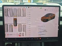 Tesla Model Y Rear-Wheel Drive - ფოტო 11