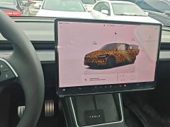 Tesla Model Y Rear-Wheel Drive - ფოტო 13