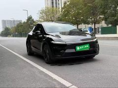 Tesla Model Y Rear-Wheel Drive - ფოტო 3