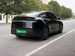 Tesla Model Y Rear-Wheel Drive - ფოტო 6