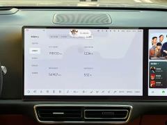 Li Auto L9 Max - ფოტო 7