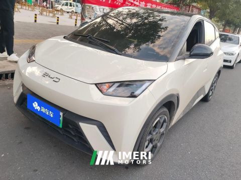 2025 BYD Seagull 305km Free Version - car from China