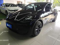 Tesla Model Y 554km Rear-Wheel Drive Edition - ფოტო 1