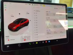 Tesla Model Y 554km Rear-Wheel Drive Edition - ფოტო 20