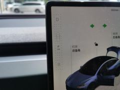 Tesla Model 3 606km Rear-Wheel Drive Edition - ფოტო 19