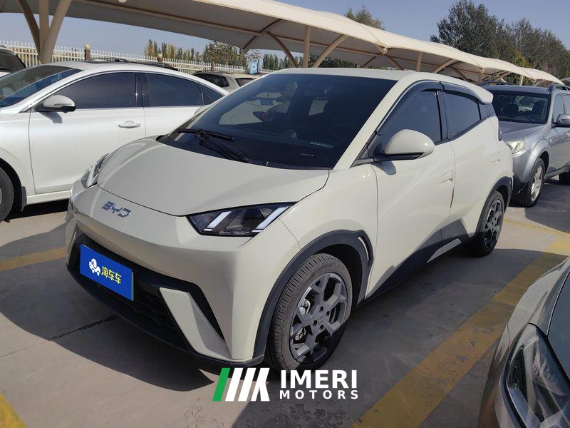 BYD Seagull 305km Free Version - ავტომობილი ჩინეთიდან