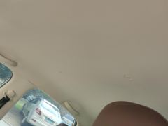 Wuling Bingo Binguo 333km Lingxi Connected Edition - photo 15