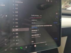 Tesla Model Y 615km Performance High-Performance AWD Version - ფოტო 20