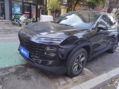 Jetour Dasheng 1.5T PRO - ფოტო 1