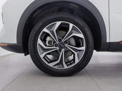 Haval Divine Beast 1.5T Smart Enjoy Edition - фото 17