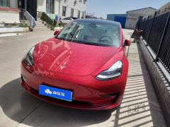 Tesla Model 3 556km Rear-Wheel Drive Edition - ფოტო 1