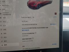 Tesla Model 3 556km Rear-Wheel Drive Edition - ფოტო 20