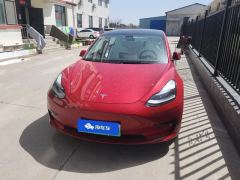 Tesla Model 3 556km Rear-Wheel Drive Edition - ფოტო 3