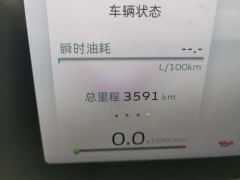 Geely ICON 1.5T Edition - ფოტო 15