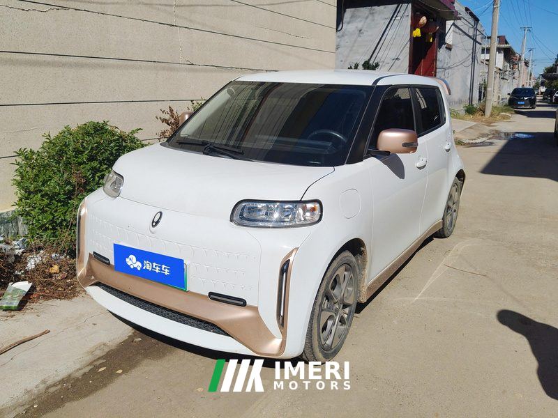 Ora White Cat Edition 360Km Luxury Version - car from China