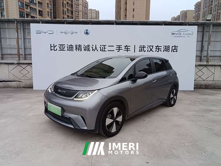 BYD Dolphin 420km Freedom Edition - ავტომობილი ჩინეთიდან