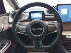 BYD Dolphin 420km Freedom Edition - ფოტო 12