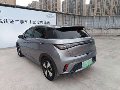 BYD Dolphin 420km Freedom Edition - ფოტო 18