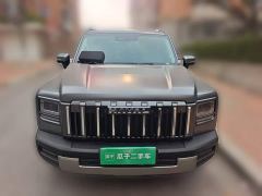 Haval Raptor Fuel Version 2.0T 4WD Pro - photo 2