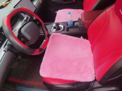 Jetour Dasheng 1.5T PRO - photo 14