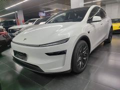 Tesla Model Y L Long Range All-Wheel Drive - photo 1