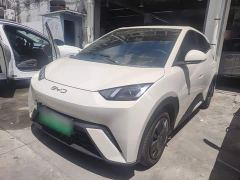 BYD Seagull Glory Edition 305km Vitality Version - ფოტო 1
