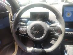 BYD Seagull Glory Edition 305km Vitality Version - ფოტო 10