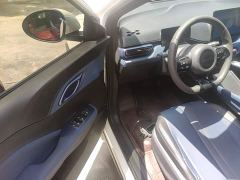 BYD Seagull Glory Edition 305km Vitality Version - ფოტო 15