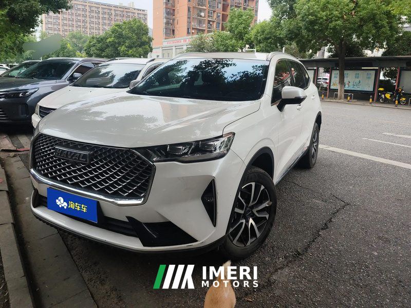 Haval H6 1.5T Two-Wheel Drive Classic Edition