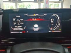 GAC Shadow Leopard 270T J16 Edition - ფოტო 20