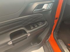 Tank 300 Off-Road Edition 2.0T Conqueror - ფოტო 13