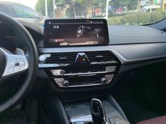 BMW 5 Series 530Li Premier M Sport Package - фото 17