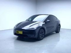 Tesla Model Y 554km Rear-Wheel Drive Edition - ფოტო 1