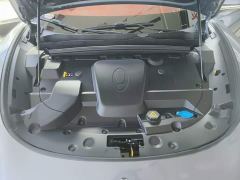 ORA Lightning Cat 555km Deluxe Edition - ფოტო 19