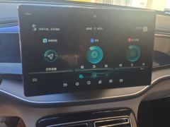 BYD Qin PLUS DM-i 120km Flagship - ფოტო 17
