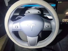 Tesla Model 3 556km Rear-Wheel Drive Edition - photo 18