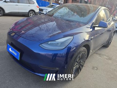 2021 Tesla Model Y Long Range AWD 3D3/3D7 - ავტომობილი ჩინეთიდან