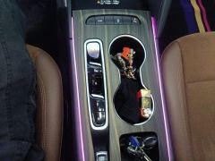 Buick Regal 652T Smart Version - ფოტო 19