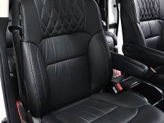 Honda Elysion 2.0L Hybrid Luxury - photo 17