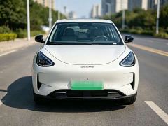 Geely Star Wish 480km Explorer Edition - ფოტო 2