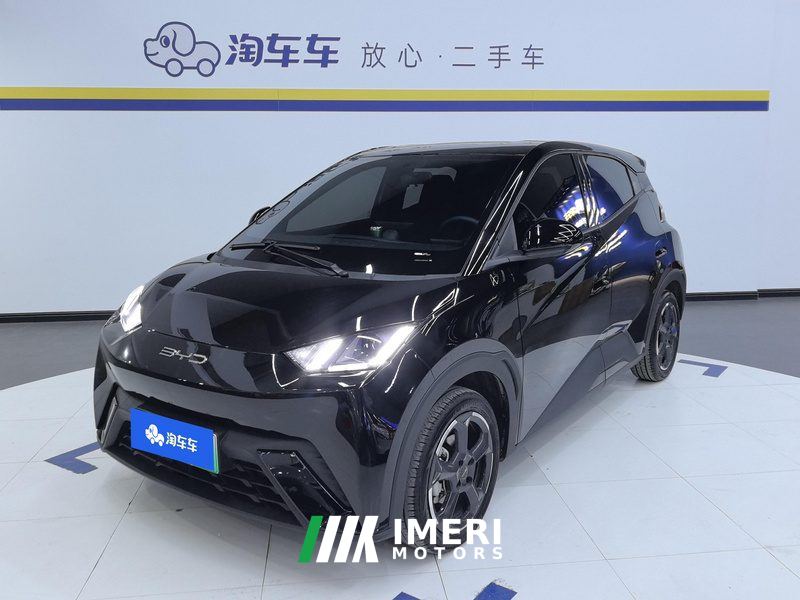 BYD Seagull 305km Free Version - ავტომობილი ჩინეთიდან